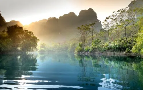 绿色可靠性